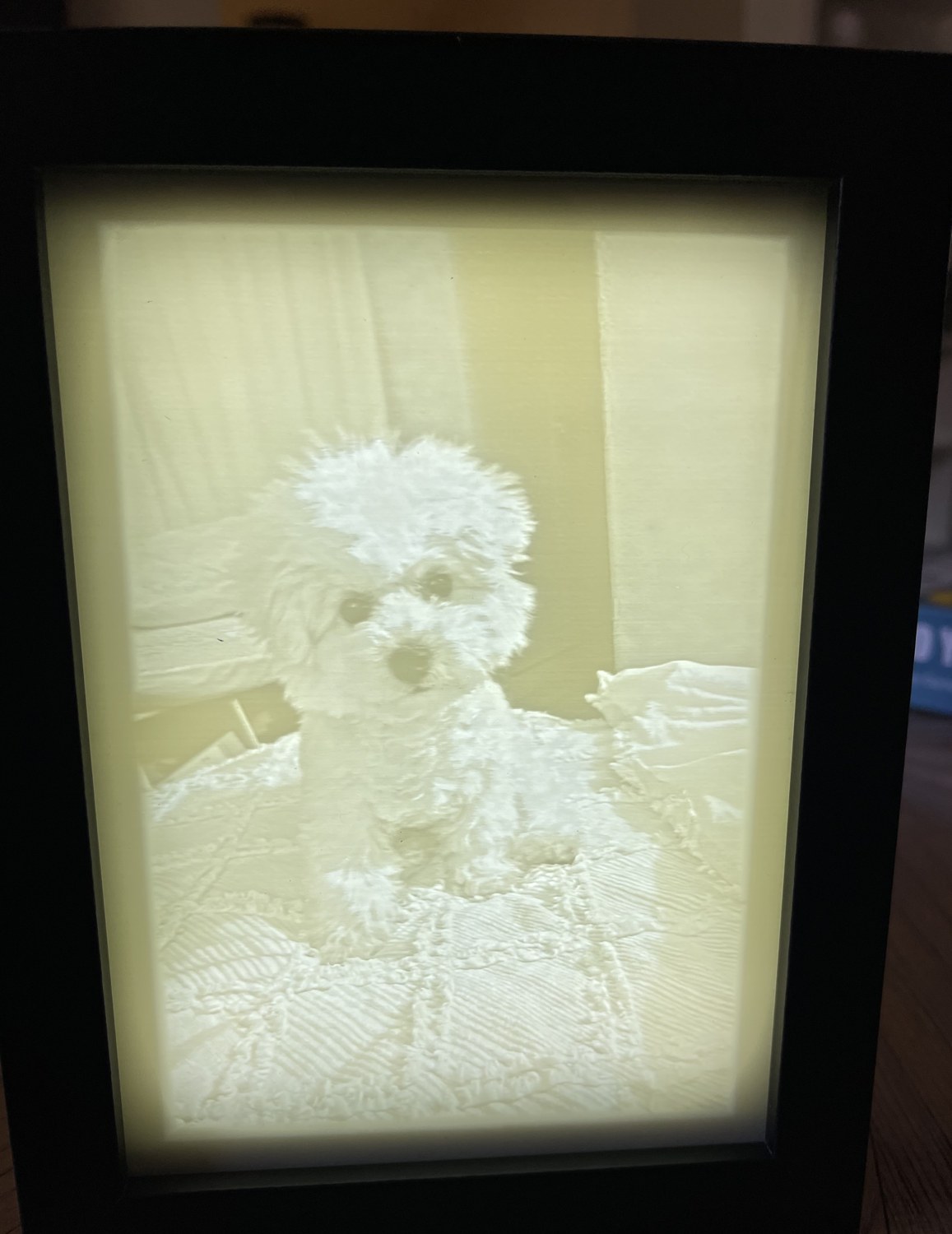 The finished lithophane lit up in a black shadow box frame