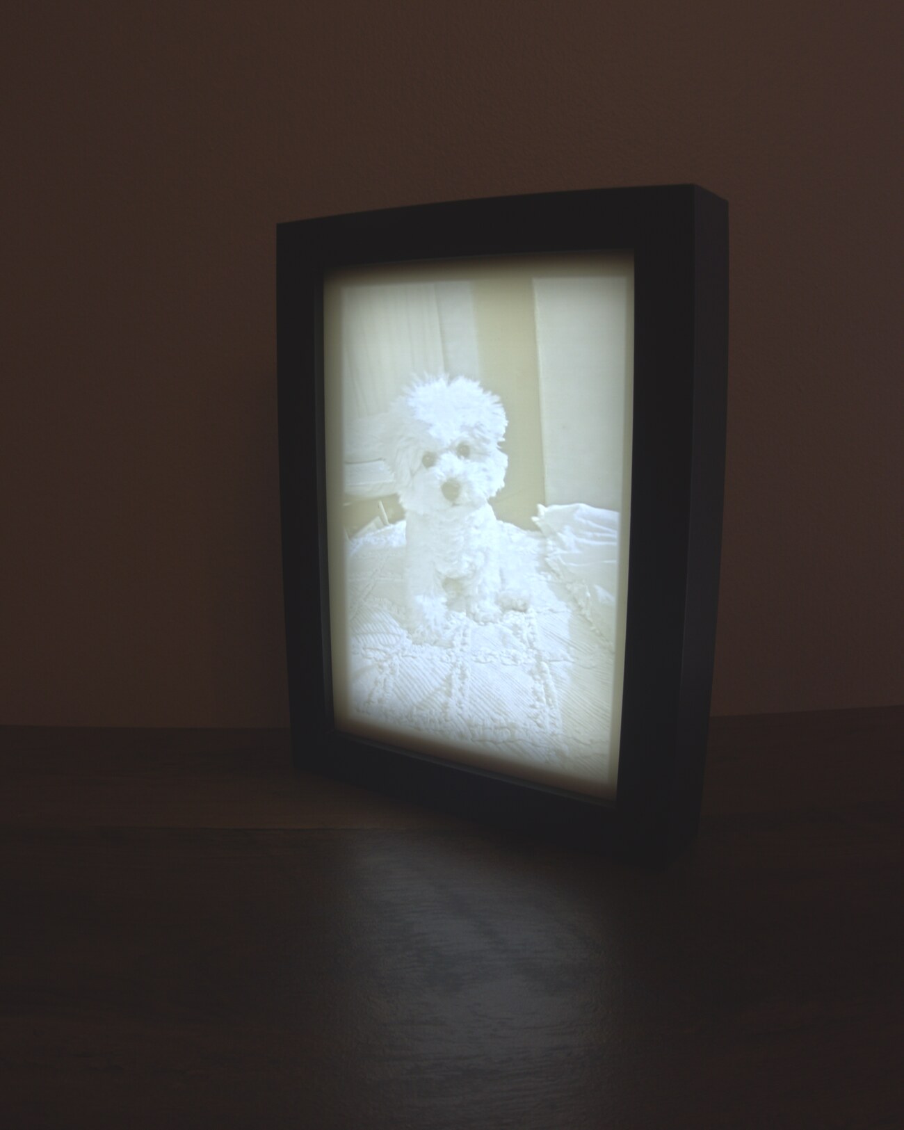 A lit LithoPics lithophane frame at an angle, glowing with a photo of a small white dog in a black shadow box